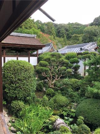 釜の口山 長岳寺の参拝記録(ヒデさん)