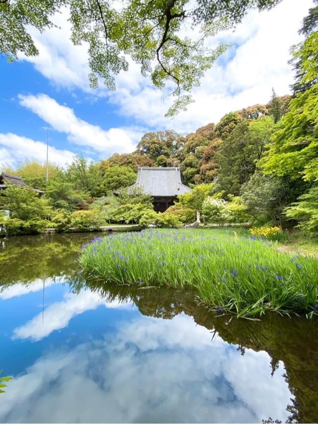 釜の口山 長岳寺の参拝記録9