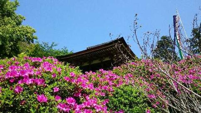 釜の口山 長岳寺の参拝記録4