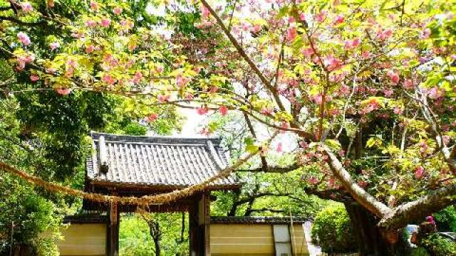 釜の口山 長岳寺の参拝記録3