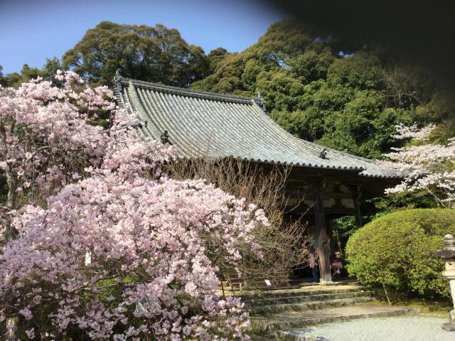 奈良県天理市柳本町508 釜の口山 長岳寺の写真1