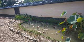 東大寺 戒壇院(戒壇堂)の参拝記録(優雅さん)