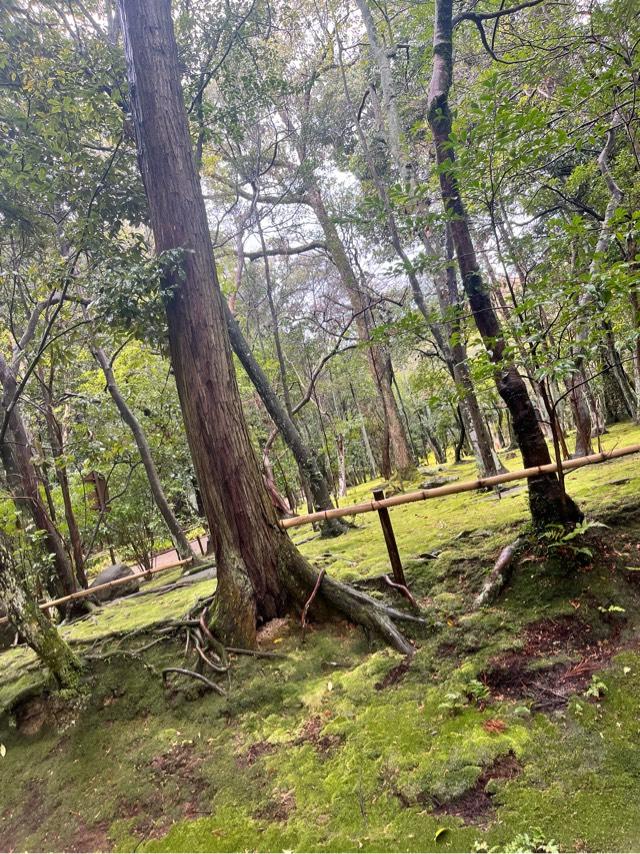 奈良県奈良市秋篠町757 秋篠寺の写真3