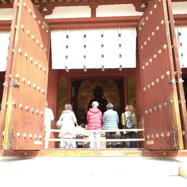 奈良県奈良市西ノ京町457 薬師寺の写真9