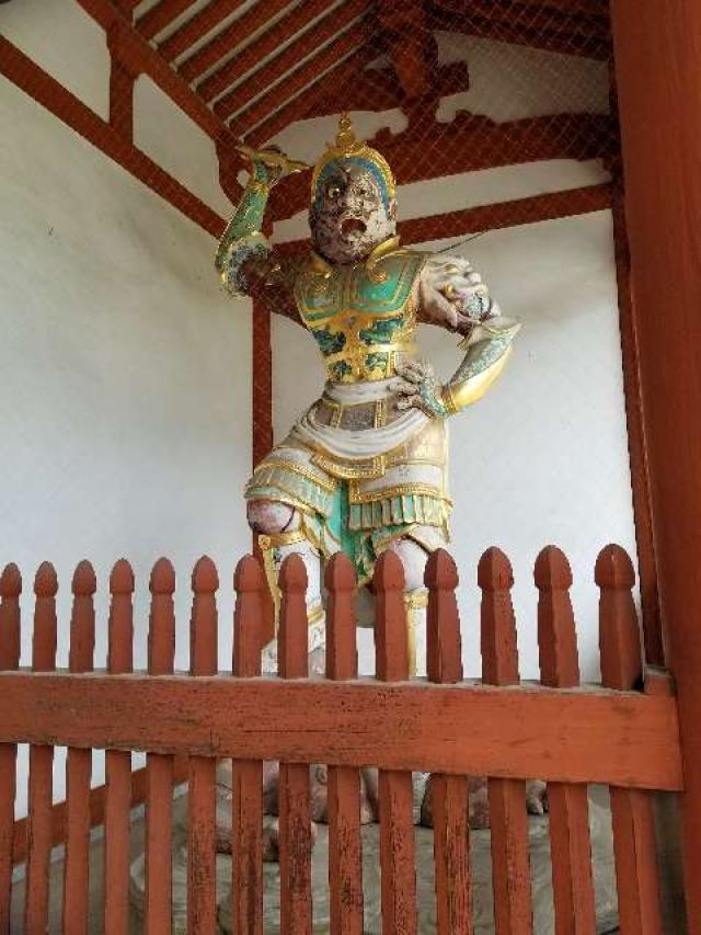 奈良県奈良市西ノ京町457 薬師寺の写真6