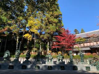 霊山寺（りょうせんじ）の参拝記録(はまちゃんさん)
