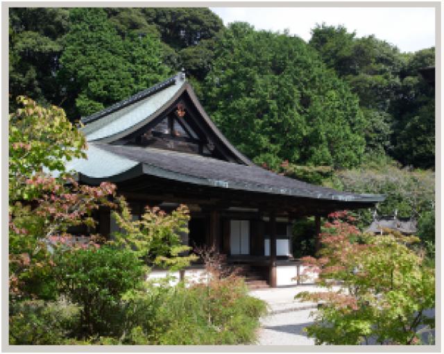 奈良県奈良市忍辱山町1273 忍辱山円成寺の写真2