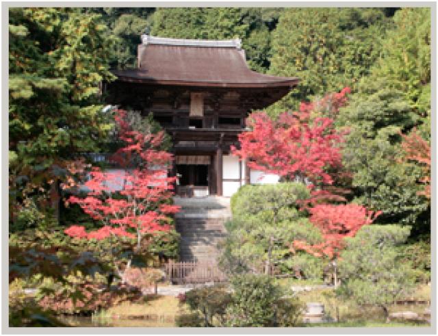 奈良県奈良市忍辱山町1273 忍辱山円成寺の写真3