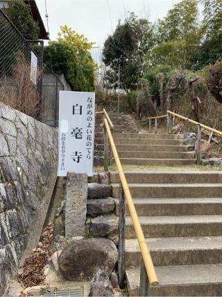 白毫寺の参拝記録(はまちゃんさん)