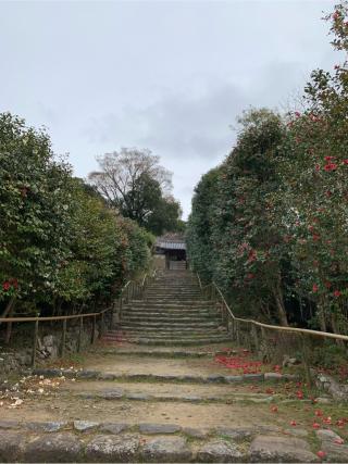 白毫寺の参拝記録(はまちゃんさん)