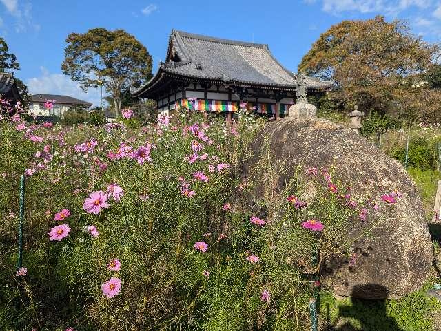 法性山 般若寺の参拝記録7