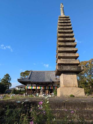 法性山 般若寺の参拝記録(くまたろうさん)