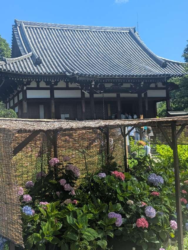 法性山 般若寺の参拝記録7