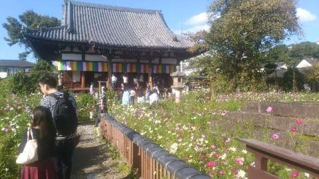 奈良県奈良市般若寺町221 法性山 般若寺の写真3