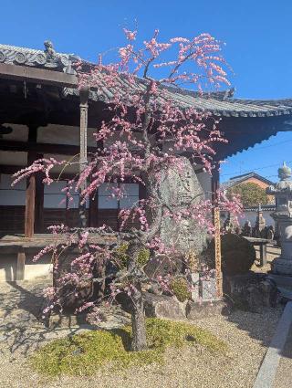 五劫院の参拝記録(くまたろうさん)