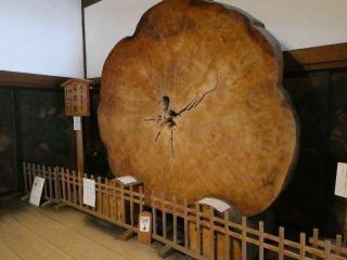 高野山 金剛峯寺の参拝記録(監督まっちゃんさん)