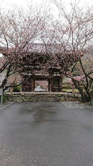 慶徳山 長保寺の参拝記録(テンプルさん)