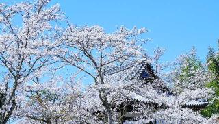 一乗山 大伝法院 根来寺の参拝記録(布袋大国さん)