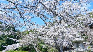 一乗山 大伝法院 根来寺の参拝記録(布袋大国さん)