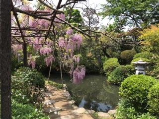 地蔵寺の参拝記録(朱雀さん)