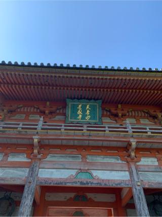 天音山 道成寺の参拝記録(はまちゃんさん)