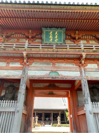 天音山 道成寺の参拝記録(はまちゃんさん)
