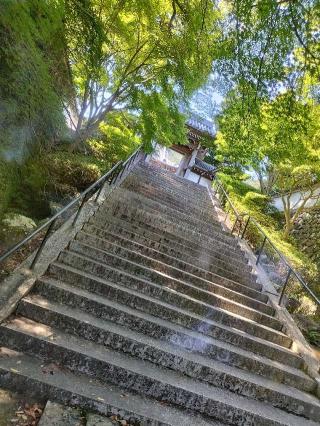 興国寺の参拝記録(さえさん)