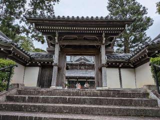 興国寺の参拝記録(ひこにゃんさん)