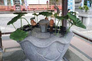 紀三井山 金剛宝寺 護国院(紀三井寺) (西国第二番)の参拝記録(Ｔさん🍁さん)