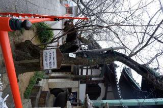 善寿院の参拝記録(Ｔさん🍁さん)