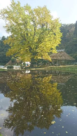 金言寺の参拝記録(しんさん)