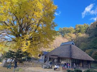 金言寺の参拝記録(hinaさん)