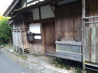 極楽寺の参拝記録(yukiさん)