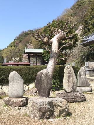 医光寺の参拝記録(国士無双さん)