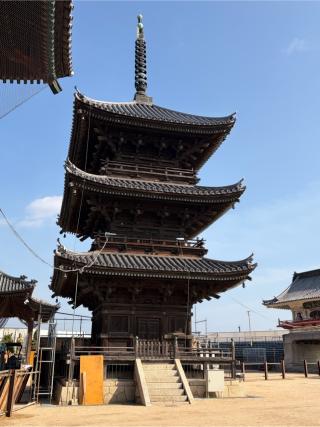 金陵山 西大寺（観音院）の参拝記録(こーちんさん)