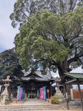 金陵山 西大寺（観音院）の参拝記録(ふじこさん)