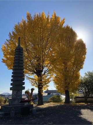 法界院の参拝記録(入り口さん)