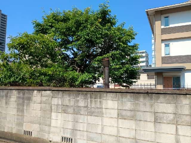 清鏡寺の参拝記録1