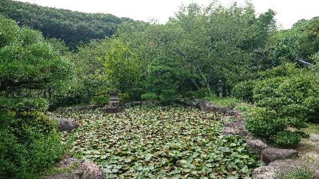 岡山県岡山市中区湊449 仏心寺の写真1