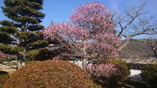 観照寺の参拝記録2