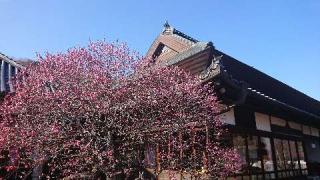 観照寺の参拝記録(K2Kさん)