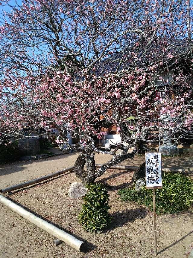 観照寺の参拝記録1