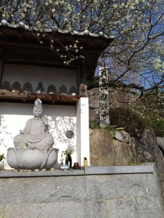 観照寺の参拝記録(くろろさん)