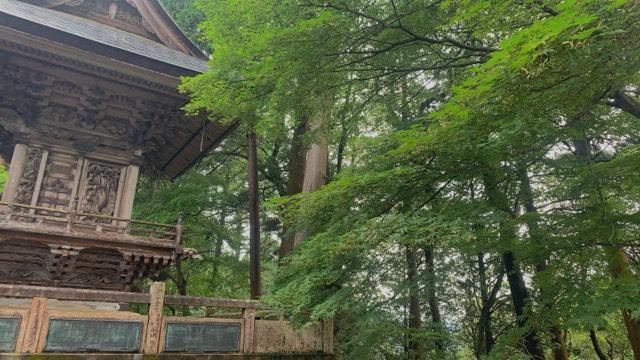 醫王山 木山寺の参拝記録3