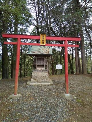 醫王山 木山寺の参拝記録(しろ＆とらさん)