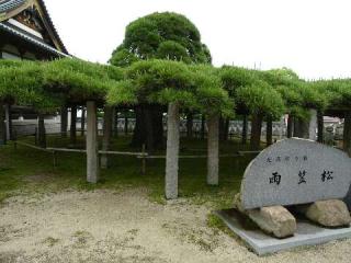 矢崎山圓福寺本性院の参拝記録(ジバンさん)