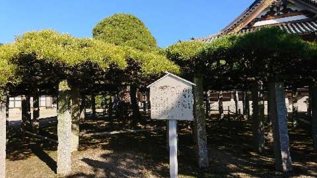 矢崎山圓福寺本性院の参拝記録2