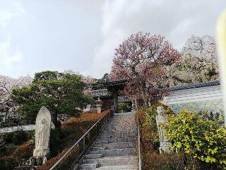 千光寺の参拝記録(ゆきまえさん)
