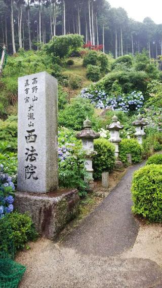 大瀧山 西法院の参拝記録(とびちゃんさん)