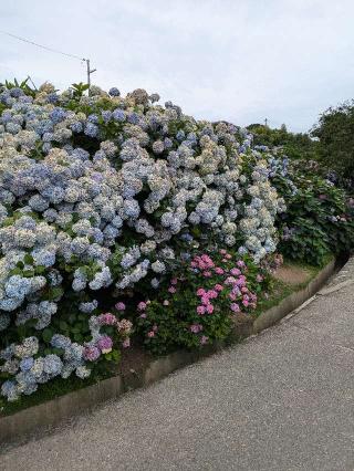 大瀧山 西法院の参拝記録(しげさん)